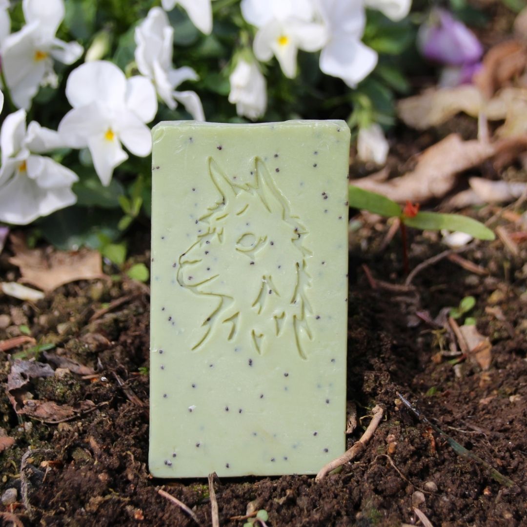 Seife Grüner Daumen