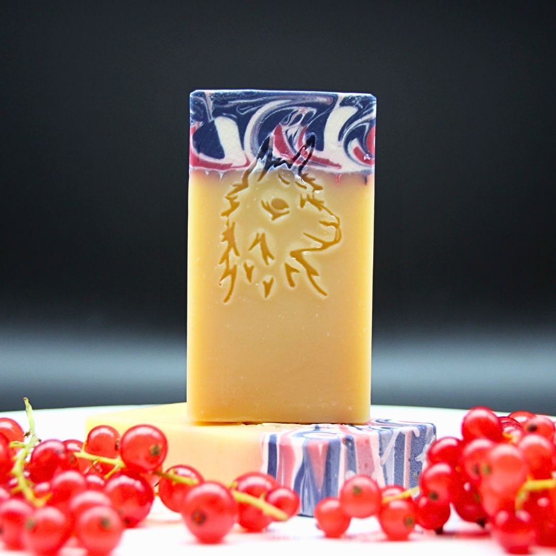 Seife Johannisbeere